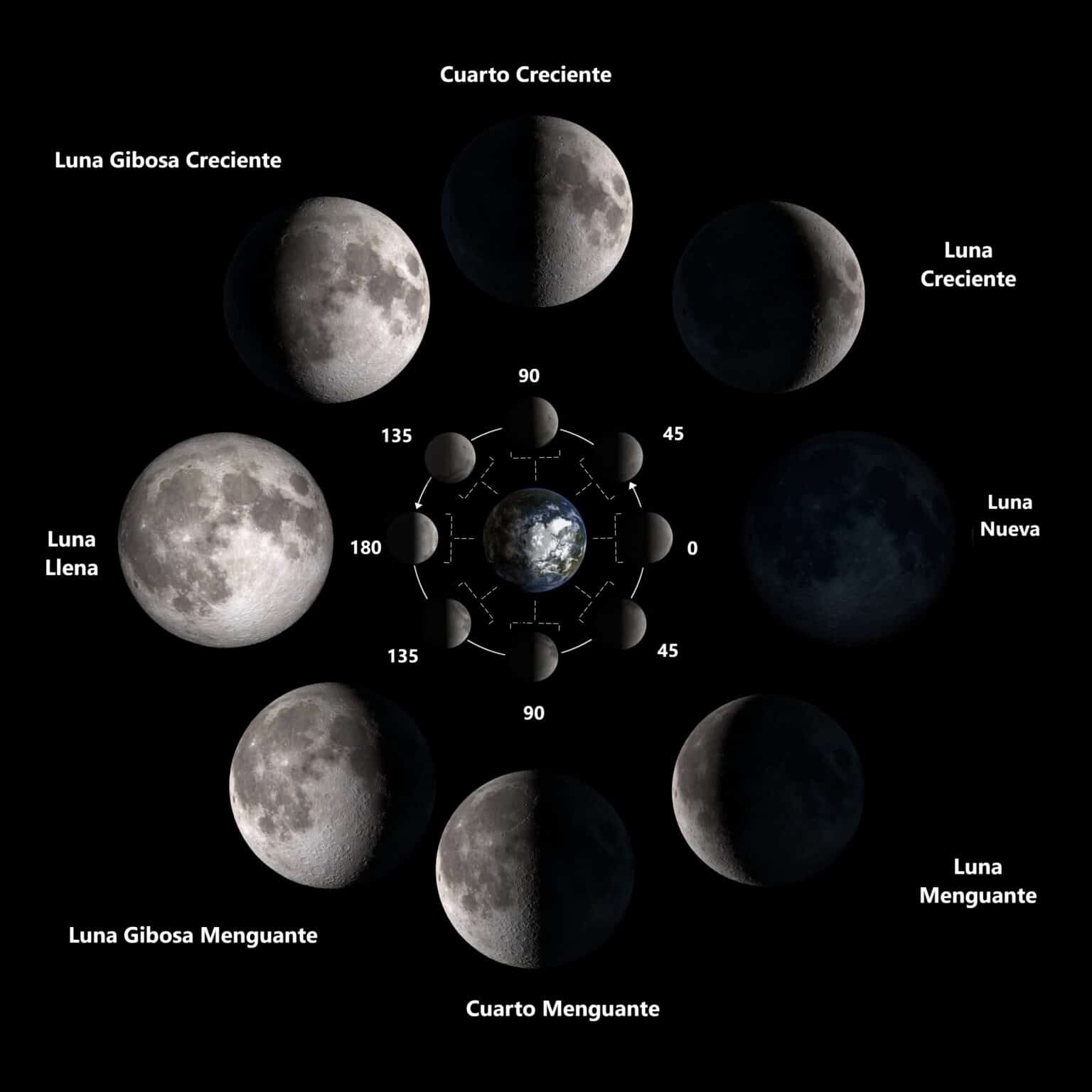 Las Fases De La Luna Astrolog A Aditi